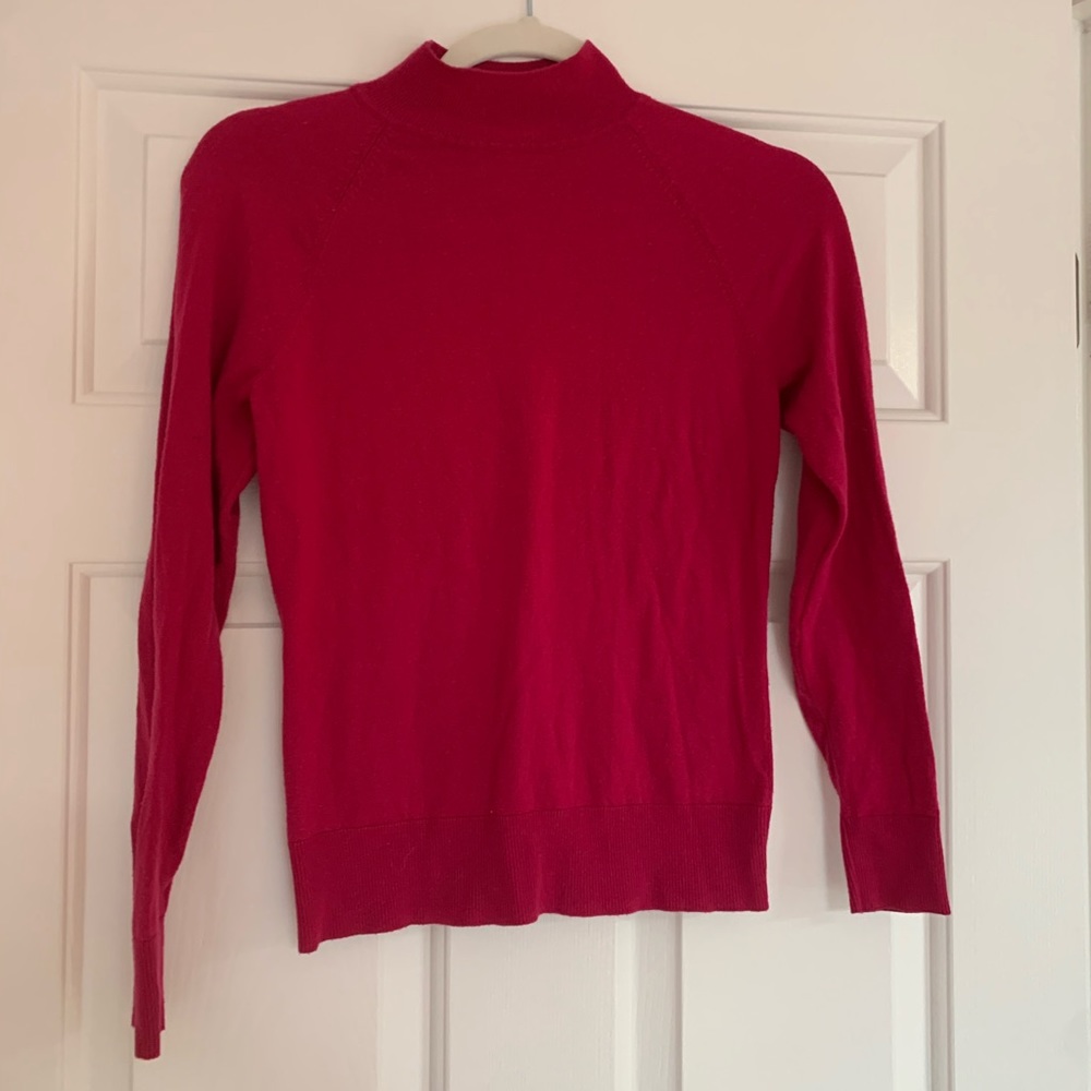 Berry Sweater Turtleneck